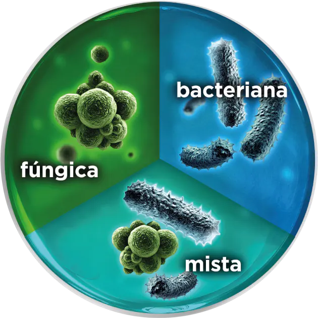 Gráfico dos tipos de infeções vaginais (Fúngica, Bacteriana e Mista)